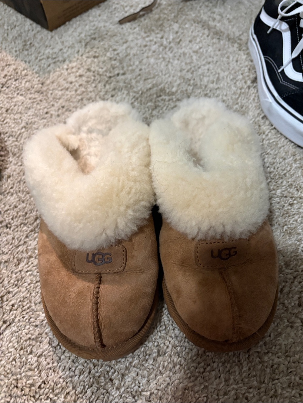 UGG Chestnut/Tan Suede Shearling Mule Slippers